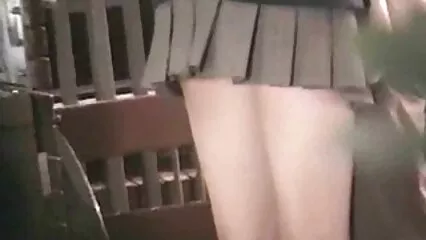 Piper