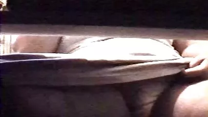 Mežs