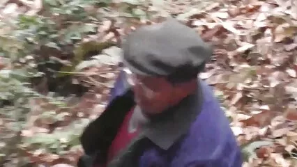 Siffredi
