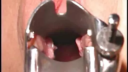 Šarlote